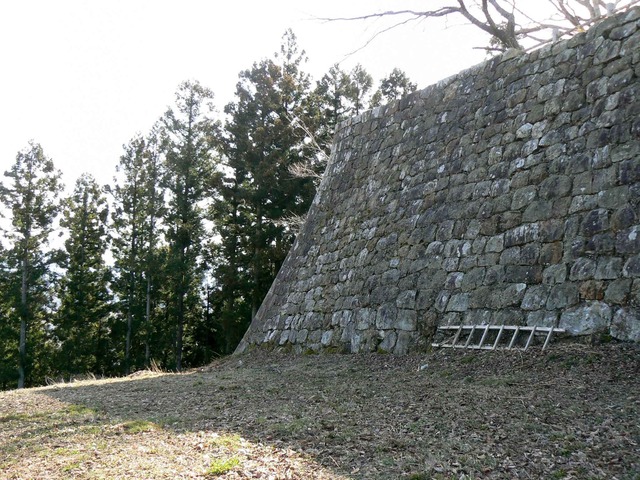 P1110621-2048.jpg