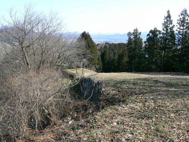 P1110622-2048.jpg