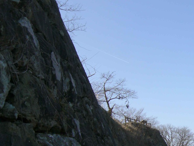 P1110625-2048.jpg