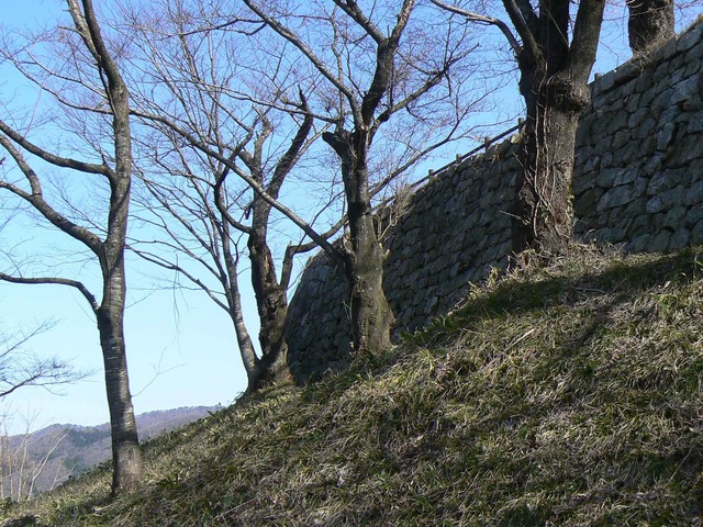 P1110632-2048.jpg