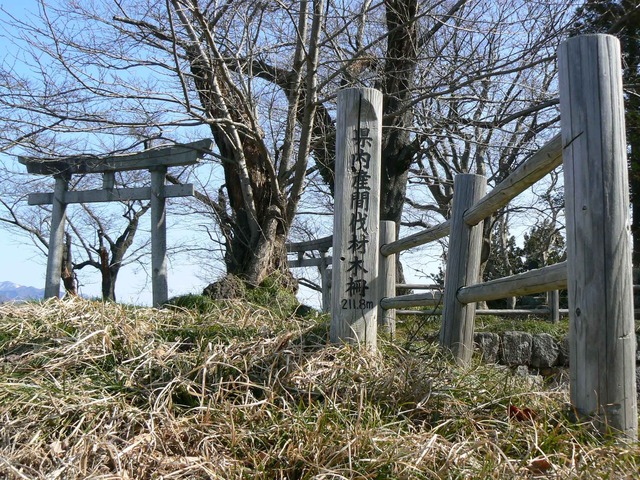 P1110641-2048.jpg