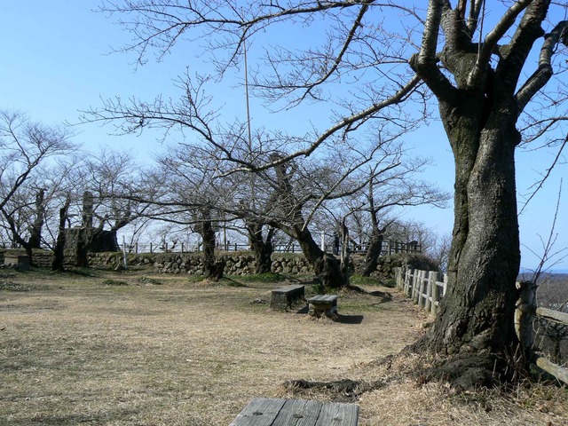 P1110649-2048.jpg