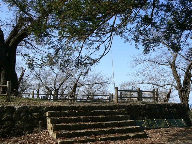P1110656-2048.jpg