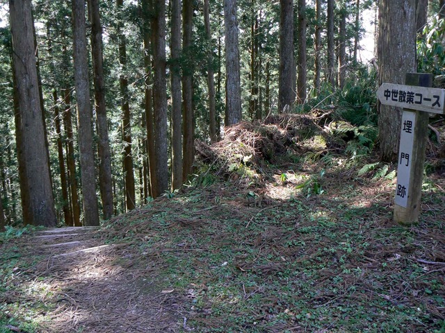 P1110673-2048.jpg