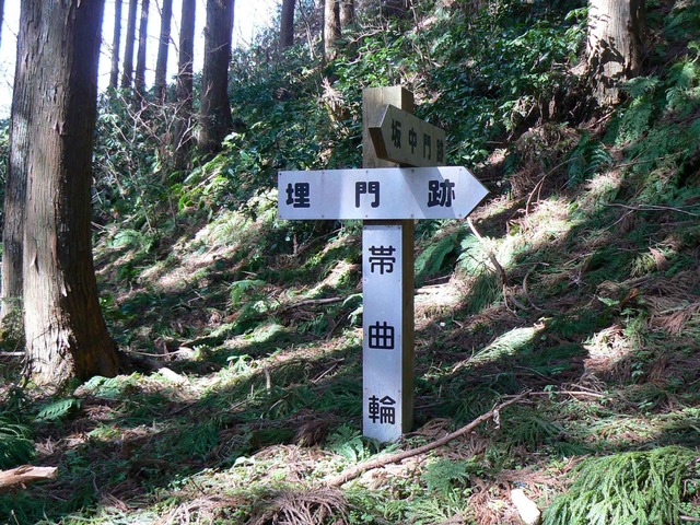 P1110676-2048.jpg