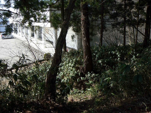 P1110679-2048.jpg