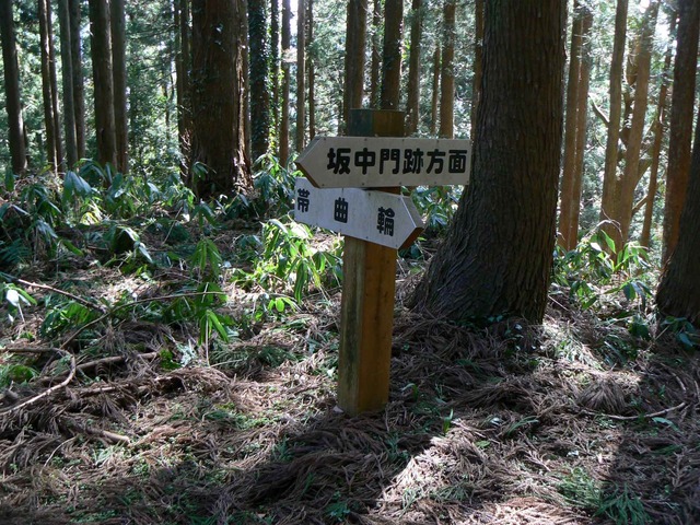 P1110682-2048.jpg