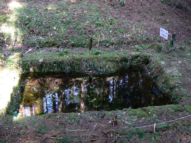 P1110687-2048.jpg