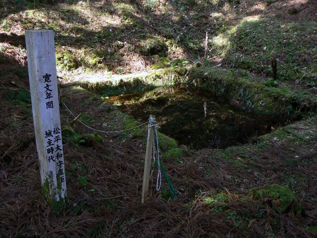 P1110688-2048.jpg