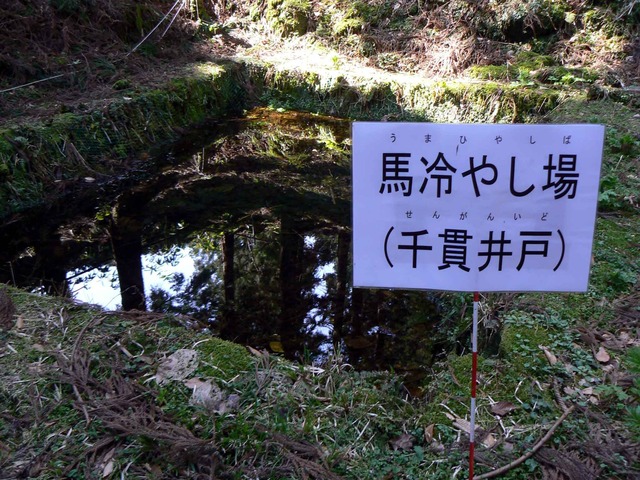 P1110689-2048.jpg