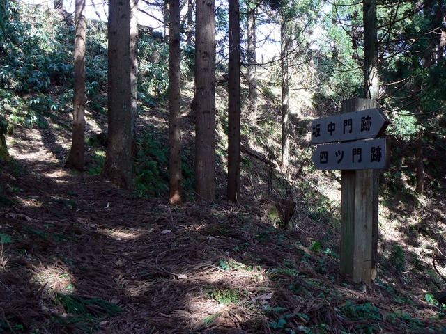 P1110692-2048.jpg
