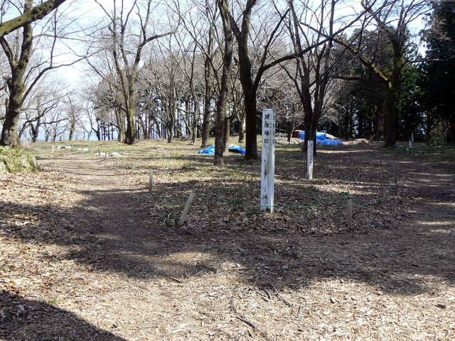 P1110694-2048.jpg