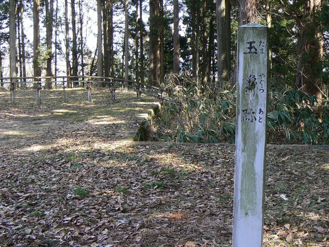 P1110700-2048.jpg
