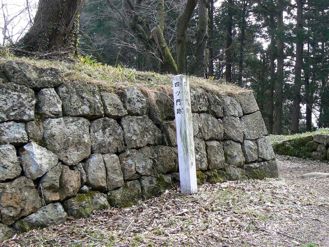 P1110719-2048.jpg