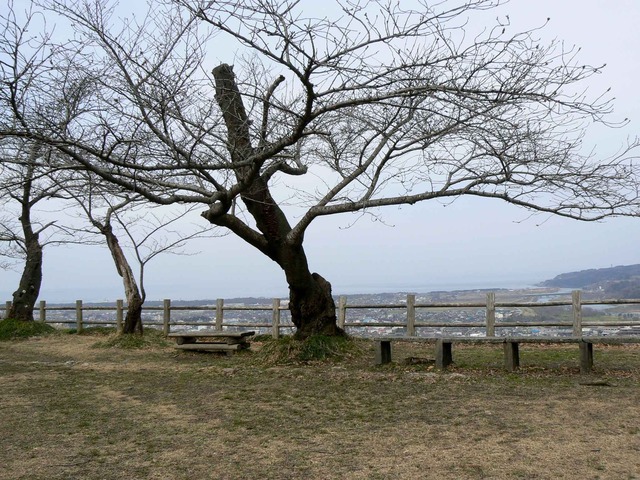 P1110732-2048.jpg