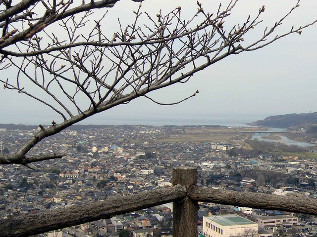 P1110740-2048.jpg