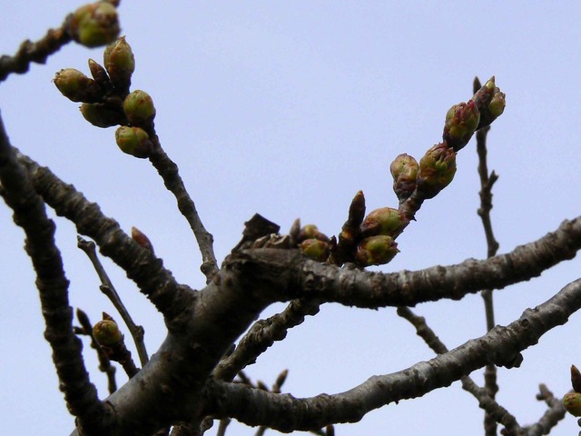 P1110741-2048.jpg