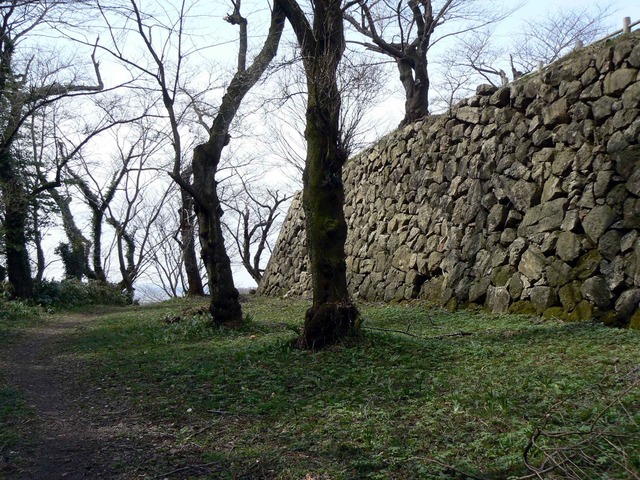 P1110750-2048.jpg