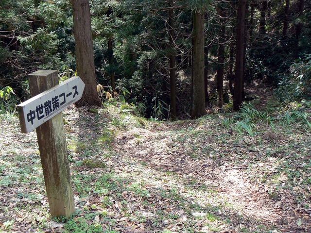 P1110806-2048.jpg