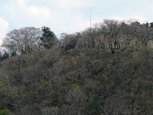 P1110812-2048.jpg
