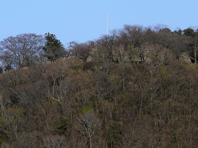 P1110814-2048.jpg