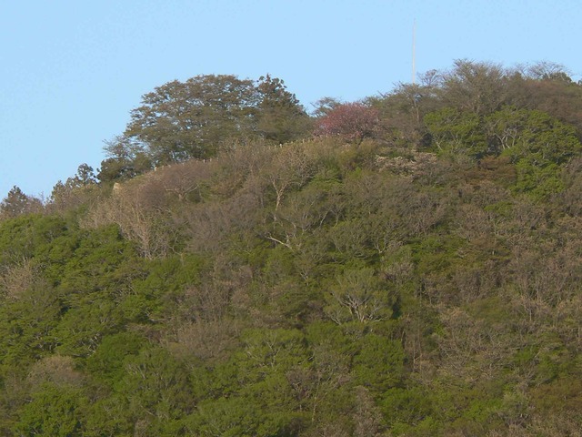 P1110834-2048.jpg